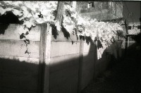 藏品(1950至2006年臺灣常民生活)的圖片