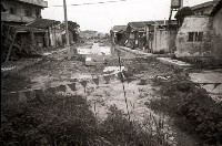 藏品(1950至2006年臺灣常民生活)的圖片