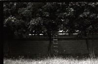 藏品(1950至2006年臺灣常民生活)的圖片