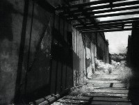 藏品(1950至2006年臺灣常民生活)的圖片