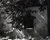 藏品(1950至2006年臺灣常民生活)的圖片