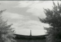 藏品(1950至2006年臺灣常民生活)的圖片