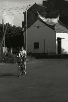 藏品(1950至2006年臺灣常民生活)的圖片