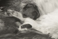 藏品(1950至2006年臺灣常民生活)的圖片