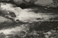 藏品(1950至2006年臺灣常民生活)的圖片