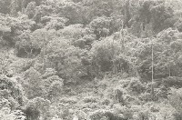 藏品(1950至2006年臺灣常民生活)的圖片