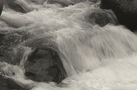 藏品(1950至2006年臺灣常民生活)的圖片