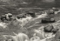 藏品(1950至2006年臺灣常民生活)的圖片