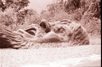 藏品(1950至2006年臺灣常民生活)的圖片