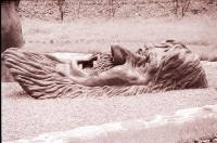 藏品(1950至2006年臺灣常民生活)的圖片