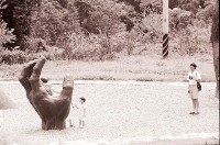 藏品(1950至2006年臺灣常民生活)的圖片