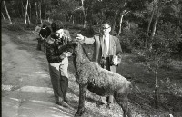 藏品(1950至2006年臺灣常民生活)的圖片