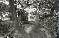 藏品(1950至2006年臺灣常民生活)的圖片