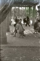 藏品(1950至2006年臺灣常民生活)的圖片