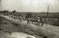 藏品(1950至2006年臺灣常民生活)的圖片