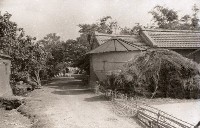 藏品(1950至2006年臺灣常民生活)的圖片