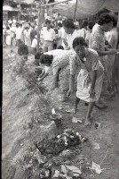 藏品(1950至2006年臺灣常民生活)的圖片