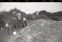 藏品(1950至2006年臺灣常民生活)的圖片