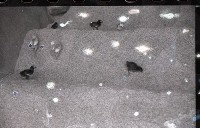 藏品(1950至2006年臺灣常民生活)的圖片