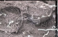 藏品(1950至2006年臺灣常民生活)的圖片