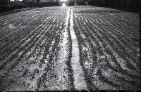 藏品(1950至2006年臺灣常民生活)的圖片