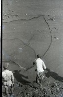 藏品(1950至2006年臺灣常民生活)的圖片