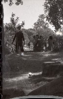 藏品(1950至2006年臺灣常民生活)的圖片