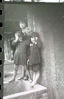 藏品(1950至2006年臺灣常民生活)的圖片