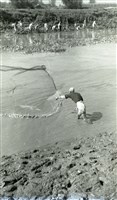 藏品(1950至2006年臺灣常民生活)的圖片