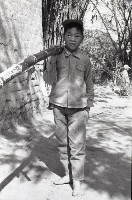 藏品(1950至2006年臺灣常民生活)的圖片