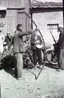 藏品(賣甘蔗（1950至2006年臺灣常民生活）)的圖片