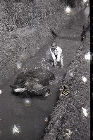 藏品(1950至2006年臺灣常民生活)的圖片