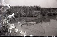 藏品(1950至2006年臺灣常民生活)的圖片