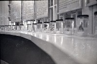 藏品(1950至2006年臺灣常民生活)的圖片