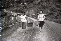 藏品(1950至2006年臺灣常民生活)的圖片