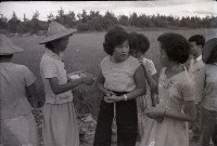 藏品(1950至2006年臺灣常民生活)的圖片