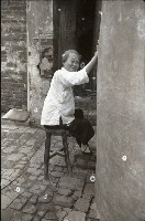 藏品(1950至2006年臺灣常民生活)的圖片