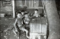 藏品(1950至2006年臺灣常民生活)的圖片