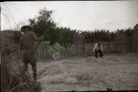 藏品(1950至2006年臺灣常民生活)的圖片