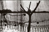 藏品(1950至2006年臺灣常民生活)的圖片