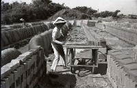 藏品(1950至2006年臺灣常民生活)的圖片