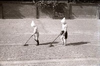 藏品(1950至2006年臺灣常民生活)的圖片