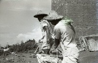 藏品(1950至2006年臺灣常民生活)的圖片