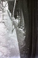 藏品(1950至2006年臺灣常民生活)的圖片