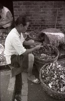 藏品(剖蚵（1950至2006年臺灣常民生活）)的圖片