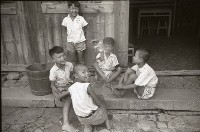 藏品(1950至2006年臺灣常民生活)的圖片