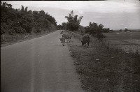 藏品(1950至2006年臺灣常民生活)的圖片