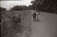 藏品(1950至2006年臺灣常民生活)的圖片