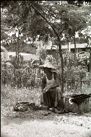 藏品(1950至2006年臺灣常民生活)的圖片