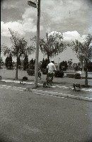 藏品(1950至2006年臺灣常民生活)的圖片